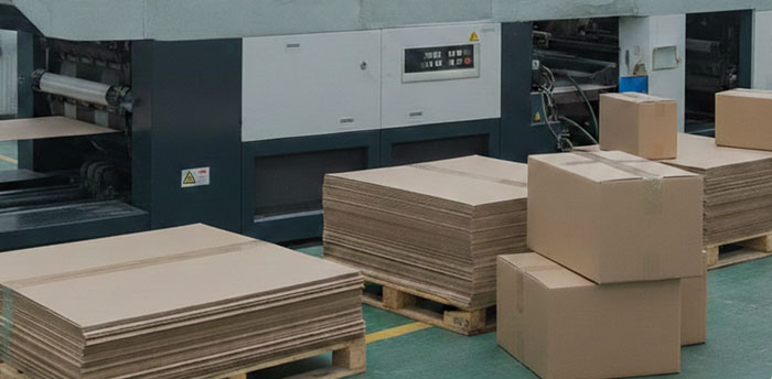 In hộp giấy theo yêu cầu