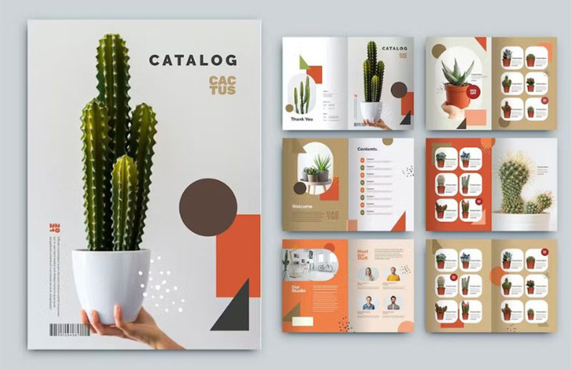 Catalogue bấm ghim giữa